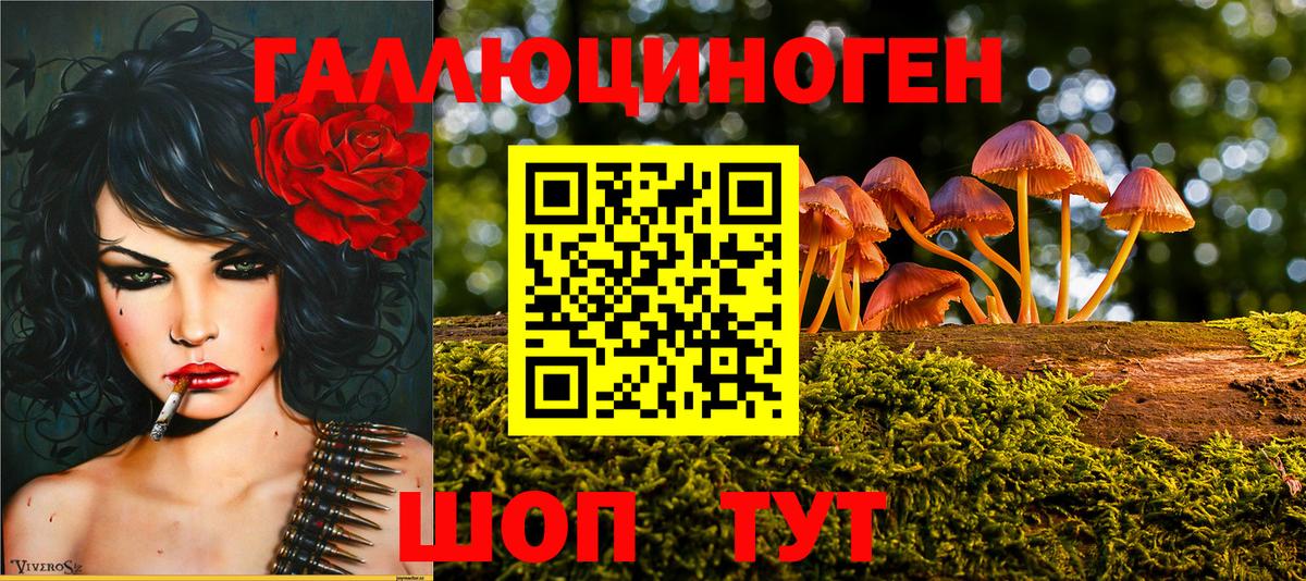 Псилоцибиновые грибы Magic Shrooms Карачаевск