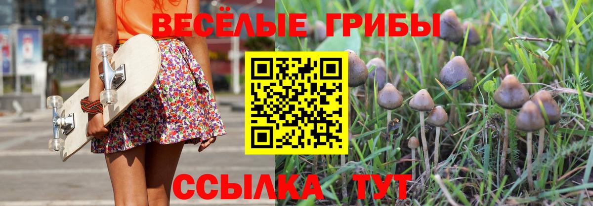 Галлюциногенные грибы GOLDEN TEACHER  Вход с VPN  Карачаевск 